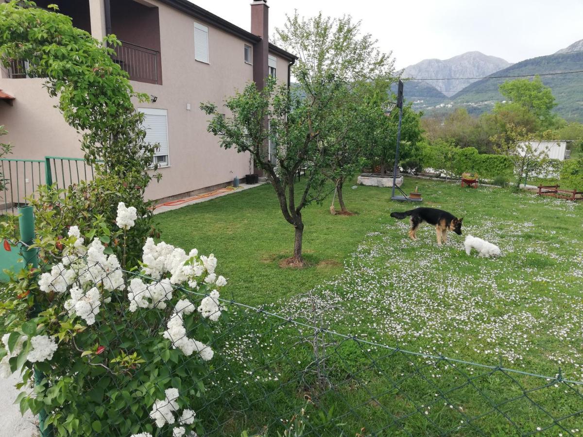 Apartmani Emma Kotor Habitación foto