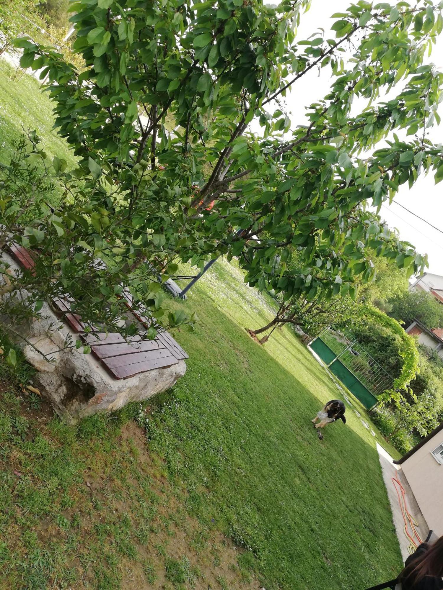 Apartmani Emma Kotor Habitación foto